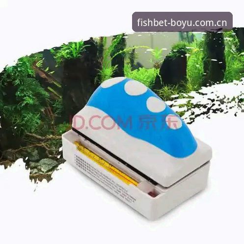 哪个BOYU体育入口值得选择？多维度深度解析正版平台的核心优势
